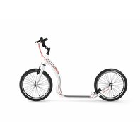 12703-Y30 white.jpg