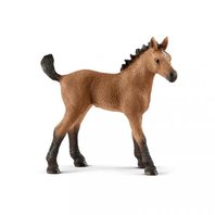 Schleich 13854 Zvířátko hříbě plemene Quarter